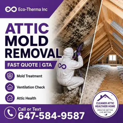 Attic Mold Removal | Fast Quote | GTA, View more