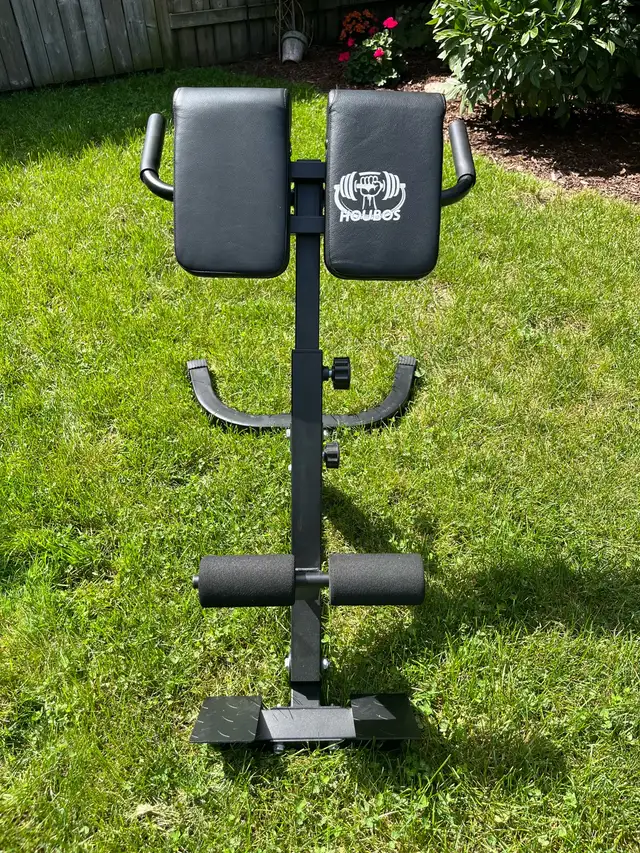 Back Extender/Ab Sit Up Bench560191104752046081