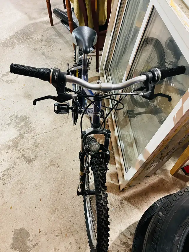 24” Carera Teenagers/ Small Adults bike  in Mountain in Markham / York Region - Image 8