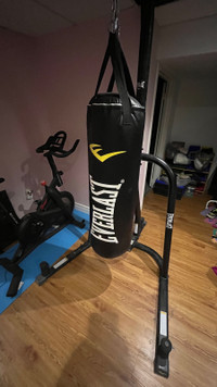 Everlast 80lb heavy bag with stand