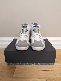 Jordan 6 Cool Grey Size 10 