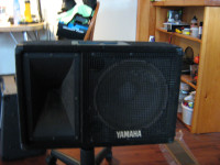 Yamaha 12" Monitor