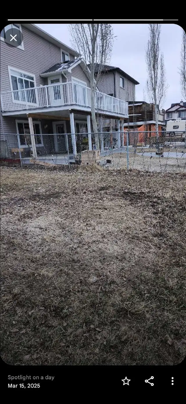 Tree Cut / Prune471852759353937924