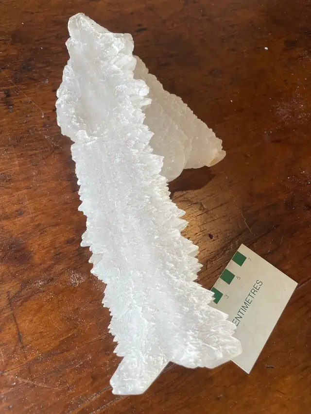 large fishtail selenite mineral specimen crystal in Hobbies & Crafts in Owen Sound - Image 4