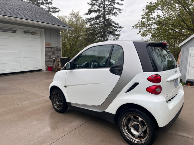 smart car in Cars & Trucks in Kitchener / Waterloo - Image 2