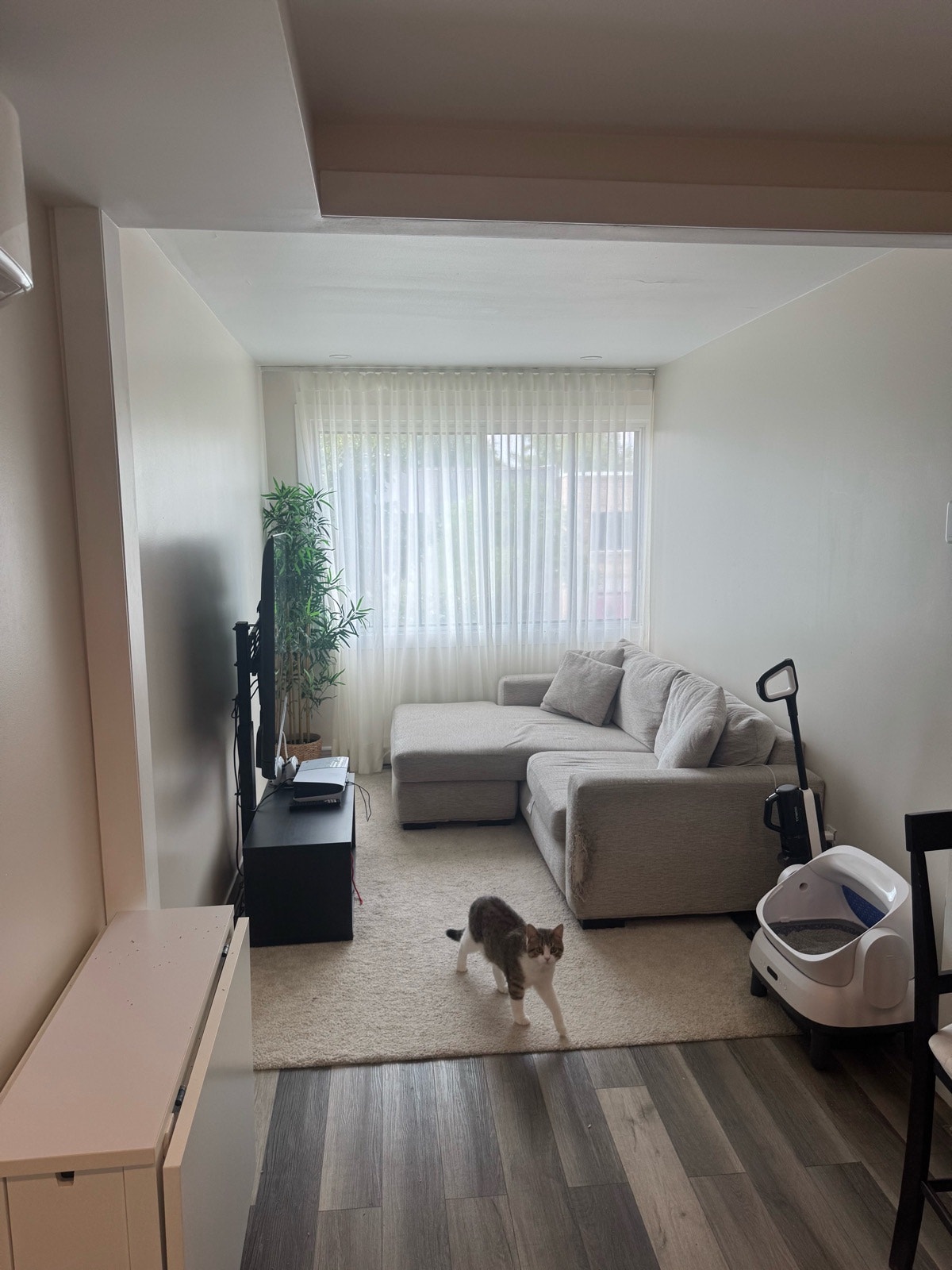 6643 Av. Papineau — photo 2