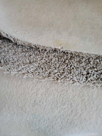 Carpet with foam liner
