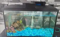 Fish Tank 10 Gallon