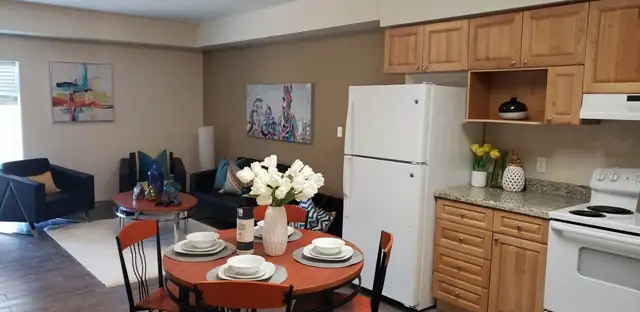 203 Lester St, Waterloo, ON. Room Rental Sublet in Room Rentals & Roommates in Kitchener / Waterloo - Image 6