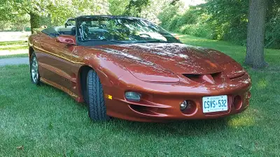 2001 LS1 Tran Am for sale 50k on odometer garage stored. Only modifications are Borla cat back exhau...