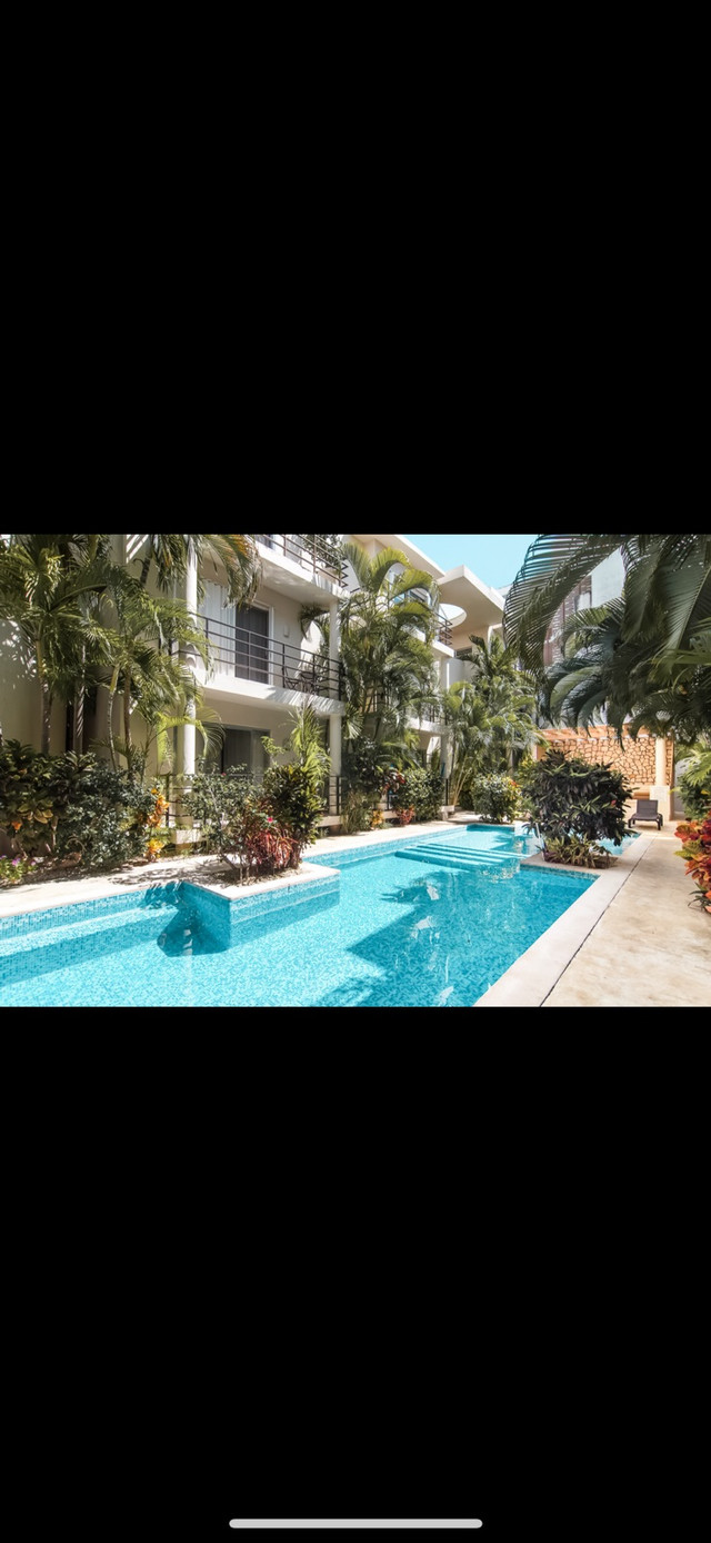 Mexico penthouse 2br - playa del Carmen fully furnished st or Lt in Mexico - Image 2