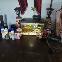 Fish tank and items(5 Gallon)