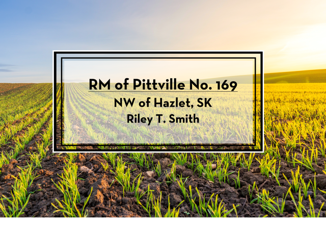 Land for Sale by Tender - RM of Pittville No. 169 - NW of Hazlet