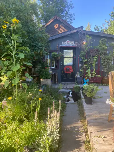 Cute and cozy 2bdrm 1bath house within walking distance to downtown Merritt Fully fenced yard N/S pe...