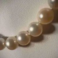 Genuine Japanese Akoya Pearl Necklace