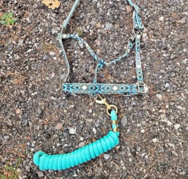 horse gear  in Equestrian & Livestock Accessories in Laurentides - Image 5