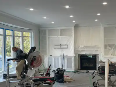 Professional Painter , View more