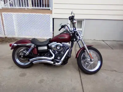 Hi all - I just bought this bike (not for sale) and am not a big fan of its' V&H's radius pipes. Loo...