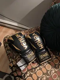 Pro Boxing Gloves