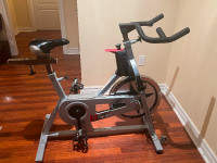 Schwinn spin bike