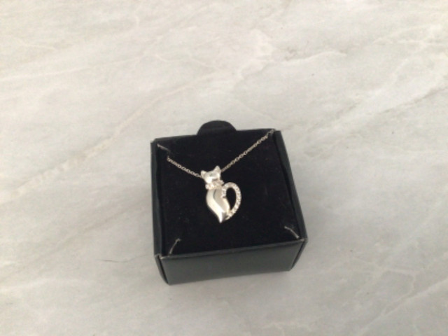 Silver necklace in Jewellery & Watches in Belleville