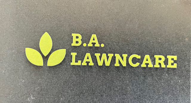 B.A Lawncare in Lawn, Tree Maintenance & Eavestrough in Kingston