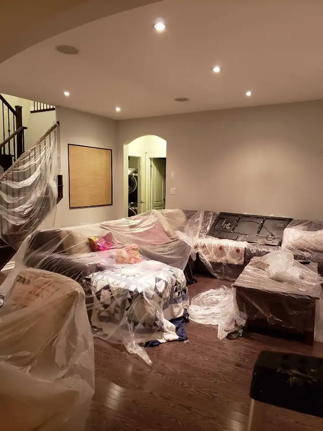 PAINTER AVAILABLE 529384767153121283