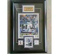 Eli Manning New York Giants Picture Frame 16 x 23