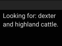 Looking for dexter and highland cattle