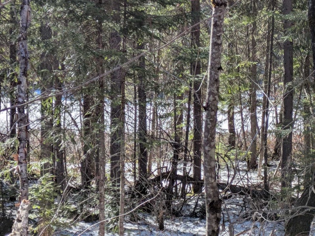 72 Chem. du Lac Joseph — photo 2