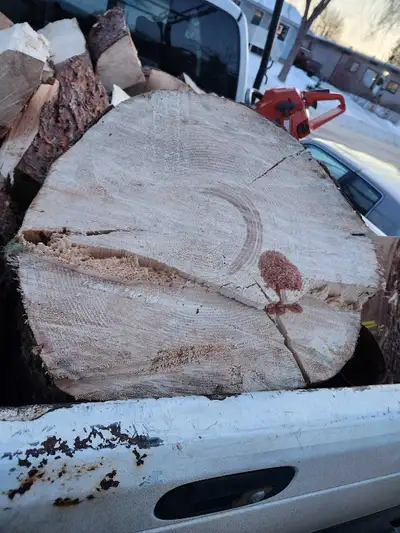 Pine and Spruce available. Seasoned and ready to burn. Large rounds available. Split wood available....