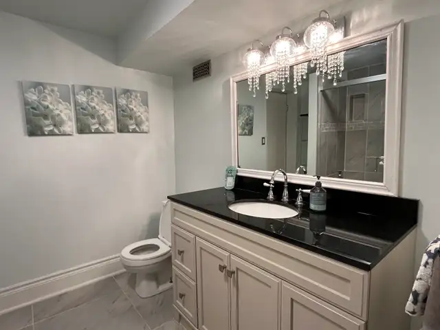 Bright & Spacious Basement for Rent – Oshawa/Whitby Border in Room Rentals & Roommates in Oshawa / Durham Region - Image 4