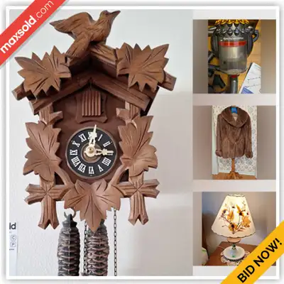 WHAT IS IN THIS AUCTION? This online auction features heated apparel, outerwear, uranium glass, offi...