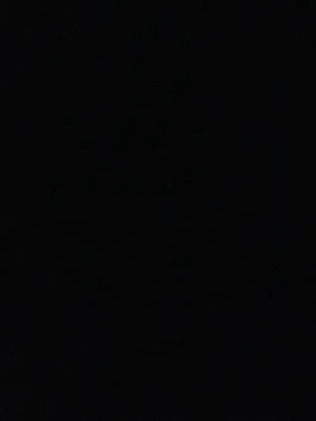 ️ PROFESSIONAL SECURITY SERVICES 