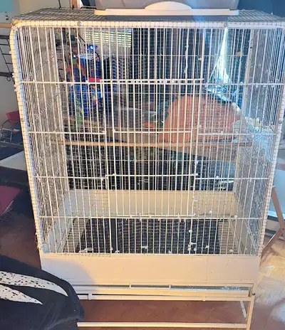large bird cage must go, View more