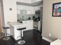 One Bedroom Apartment in Luxury Building Downtown Ottawa 