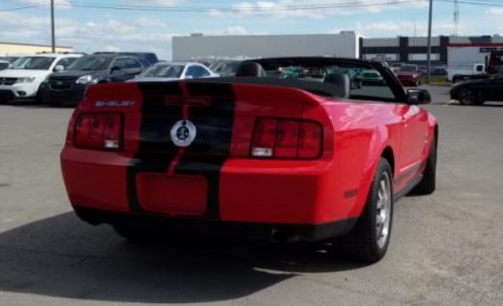 2009 Shelby GT500  Conv 600 hp 5000mi ph 587-four 71-6 one 11 in Cars & Trucks in Calgary