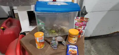 2.5Gal plastic fish tank, View more