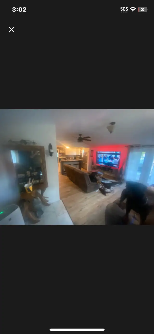 60 acre hunting retreat and cabin for rent  in Ontario in Canada - Image 3