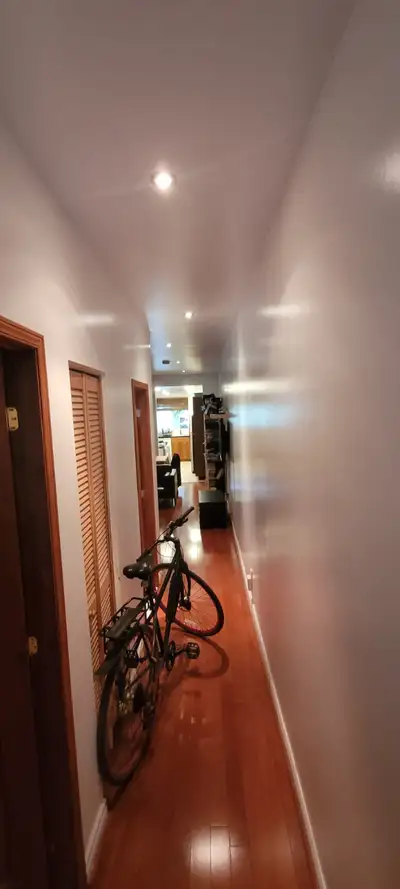 Superbe 3 et 1/2 sur la rue St-Denis (Rosemont la petite patrie)