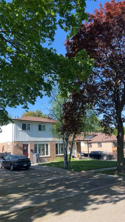 3 bedroom house for rent