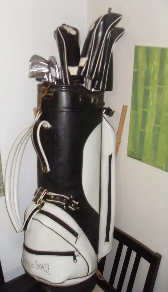 Wison Golf Club Set – Drivers, Irons, Balls, Tees and  Case in Golf in Ottawa - Image 11