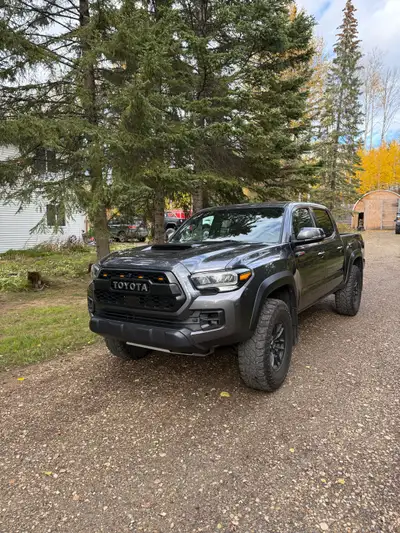 Clean Tacoma 2020 TRD PRO. The suspension is absolutely great off road. Very reliable. Tons of add o...