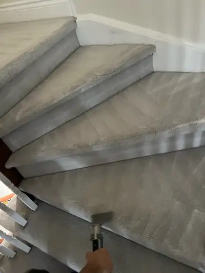 carpet and sofa and mattress cleaning , View more