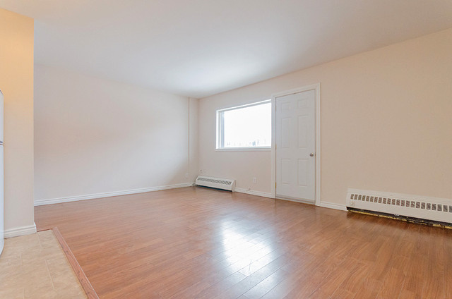Bright Bachelor Apartment Near Downtown Sudbury in Long Term Rentals in Sudbury - Image 2