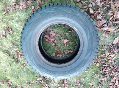 245 70R16 x2 Bridgestone Blizzard $200 obo