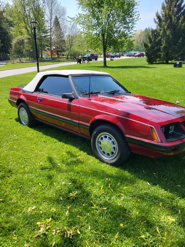 1983 glx convertible mustang 3