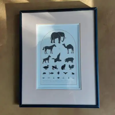 Universtiy of California Optometry Animal Eye Chart 1978 Vintage, View more