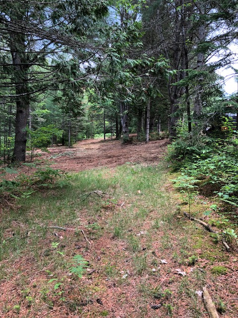 Sought after RURAL BUILDING LOT for sale close to Bancroft! in Land for Sale in Trenton - Image 2