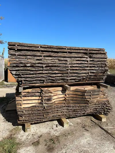 Black walnut 2.5” and 3”slabs from 12” wide to 44” wide, 9’-11’ long. Prices From 150$ and up per sl...